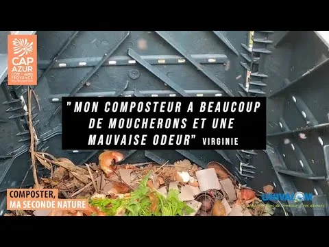 Adieu, Odeurs Fétides ! Le Guide Ultime pour un Compostage Sans Nuisance Olfactive