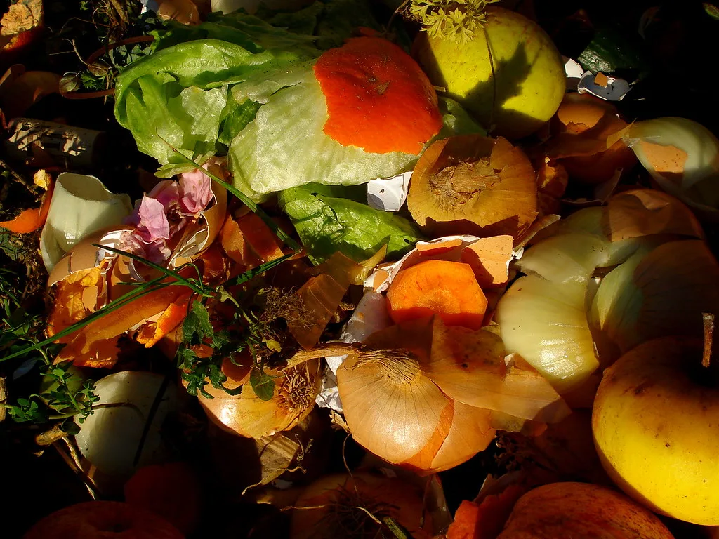 Compostage en cuisine : astuces pour un quotidien plus vert