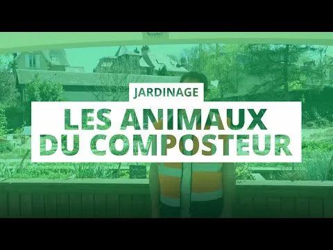 Animaux et compost : Le rôle essentiel dans le recyclage naturel