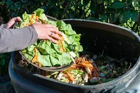 Que mettre dans un composteur : Guide essentiel des déchets compostables