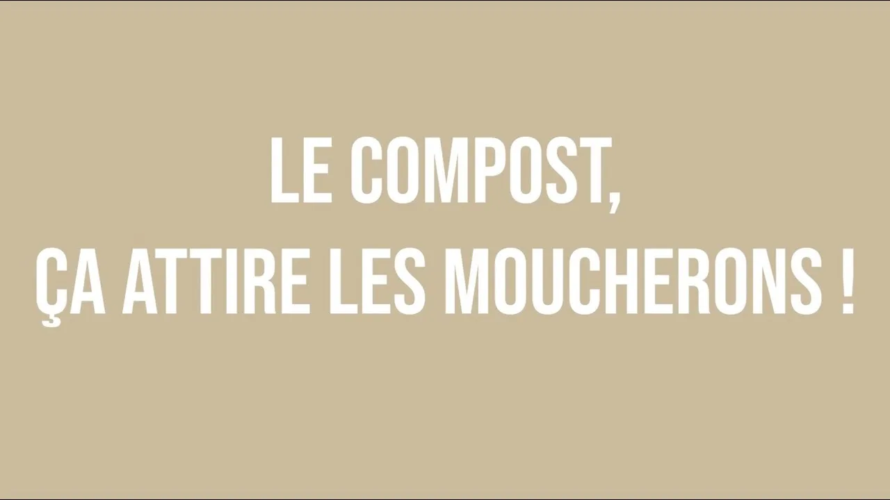 Compost urbain : Moucherons et rats, intrus ou complices ? Les astuces pour garder la paix !