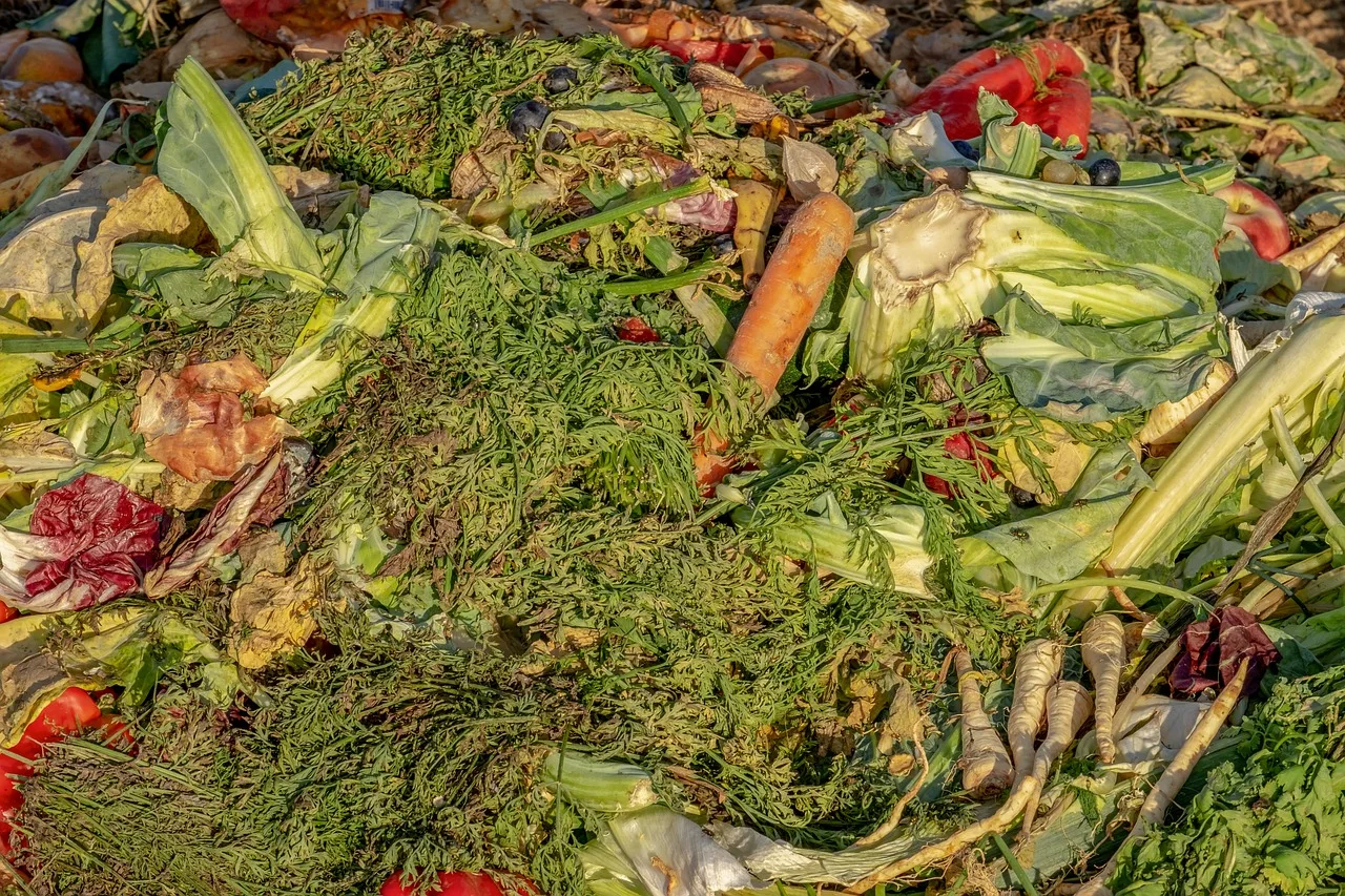 Compostage avec des lombrics : comment fonctionne un lombricomposteur ?