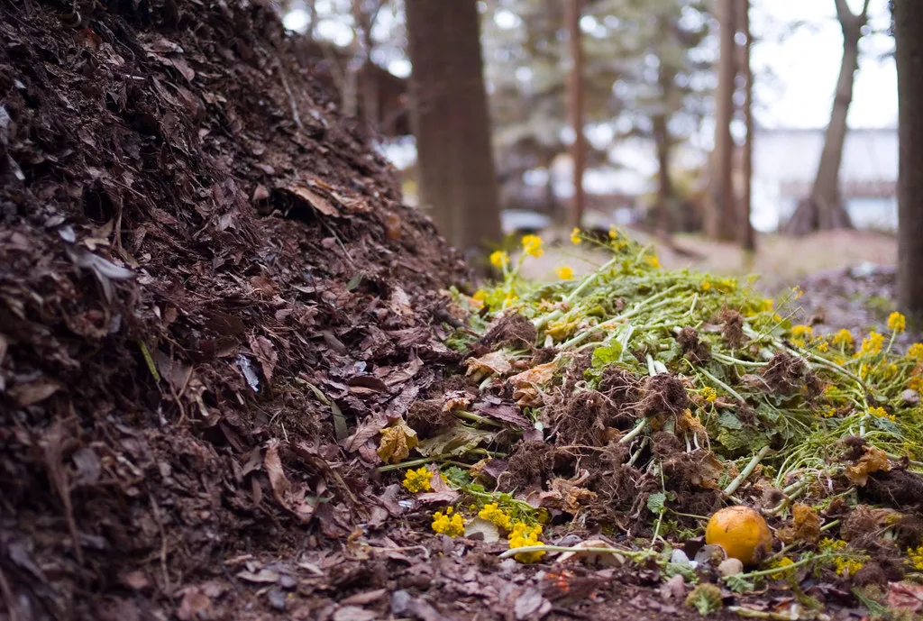 Les avantages d’utiliser un accélérateur de compost