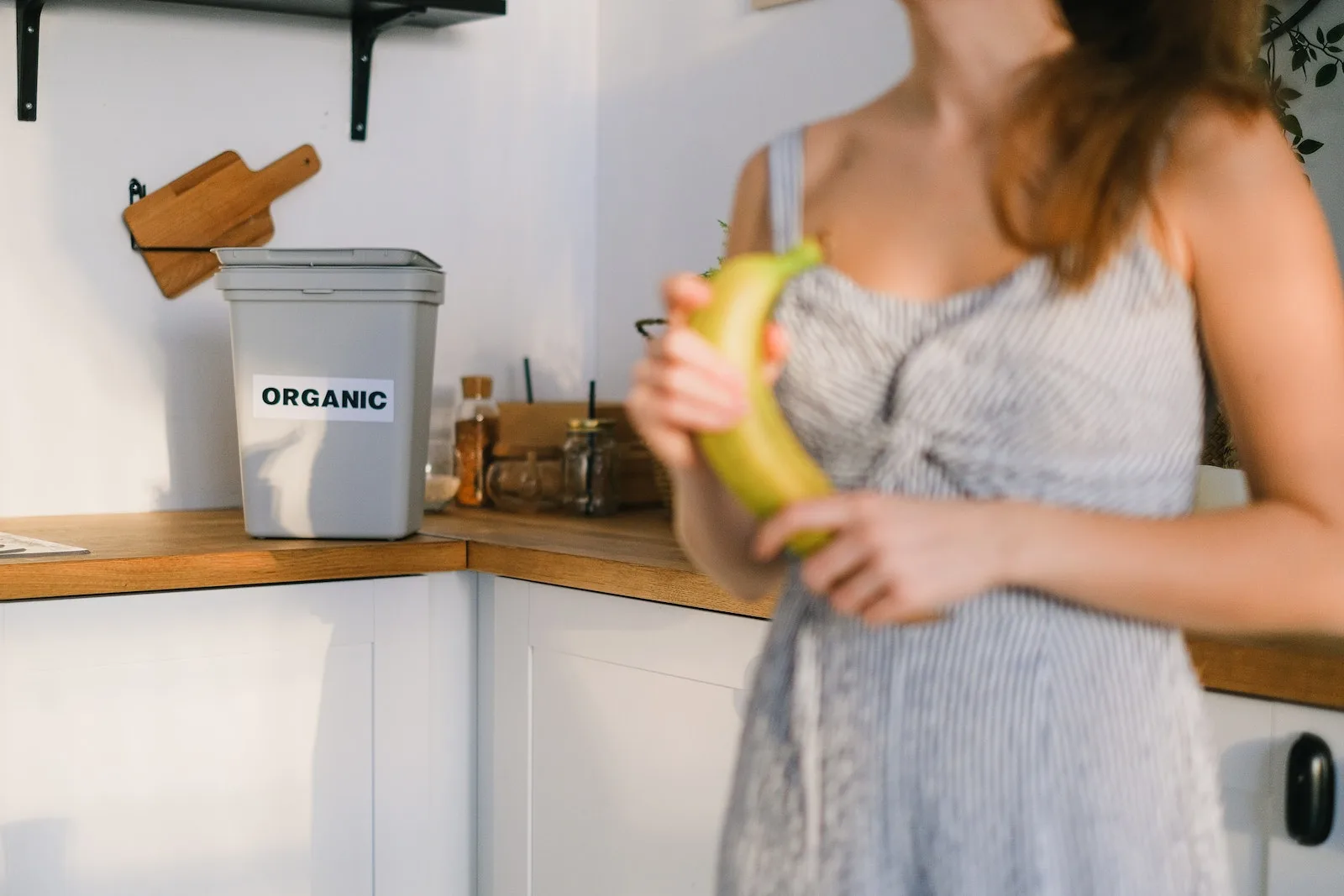 Composteur de cuisine : guide d’achat et bienfaits