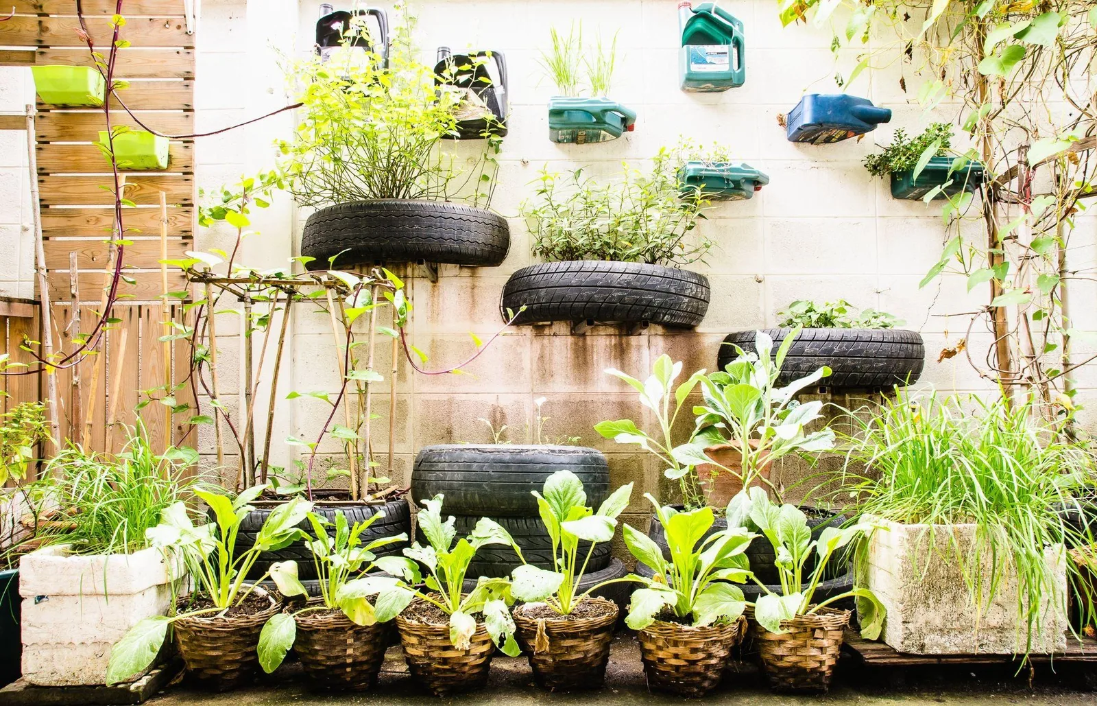 Comment éviter une invasion de nuisibles dans votre jardin urbain